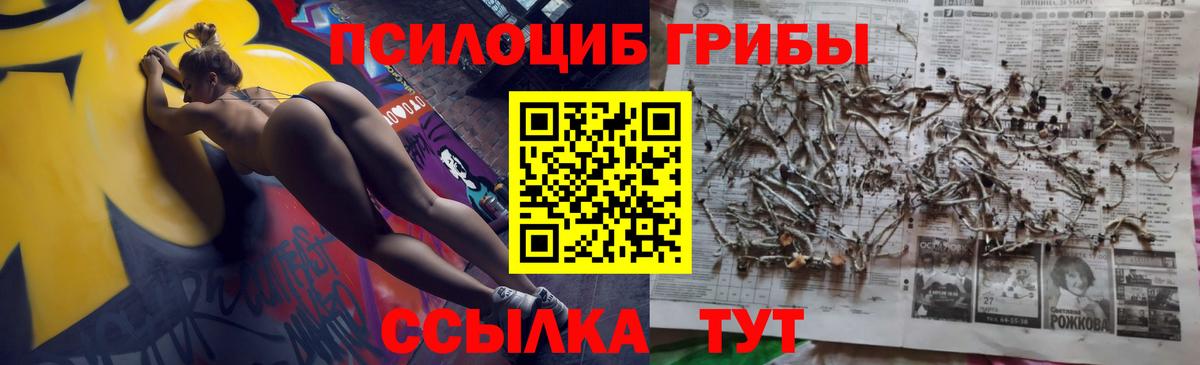 Галлюциногенные грибы прущие грибы Аргун