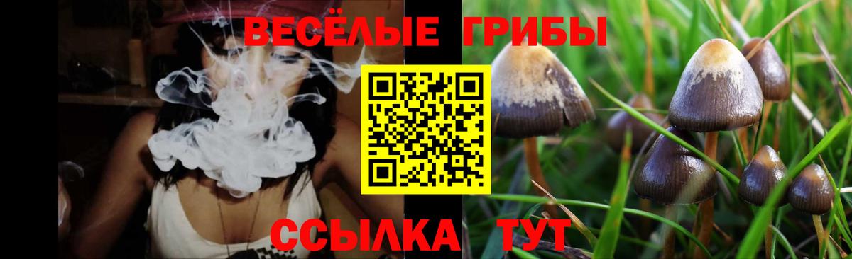 Галлюциногенные грибы мухоморы  Вход с VPN  Аргун 